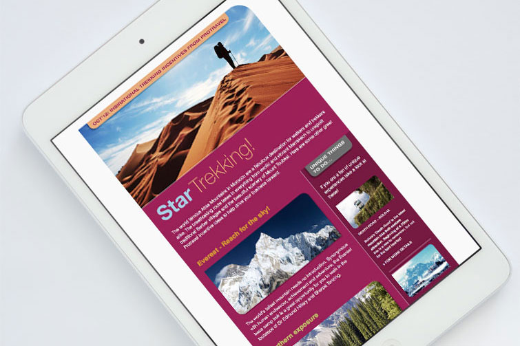 Protravel email campaigns