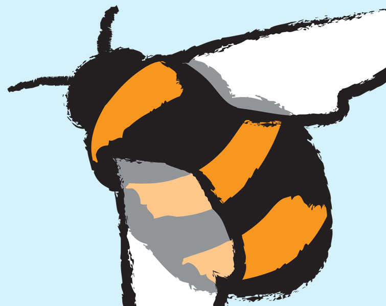 Urban Beelievers logo design